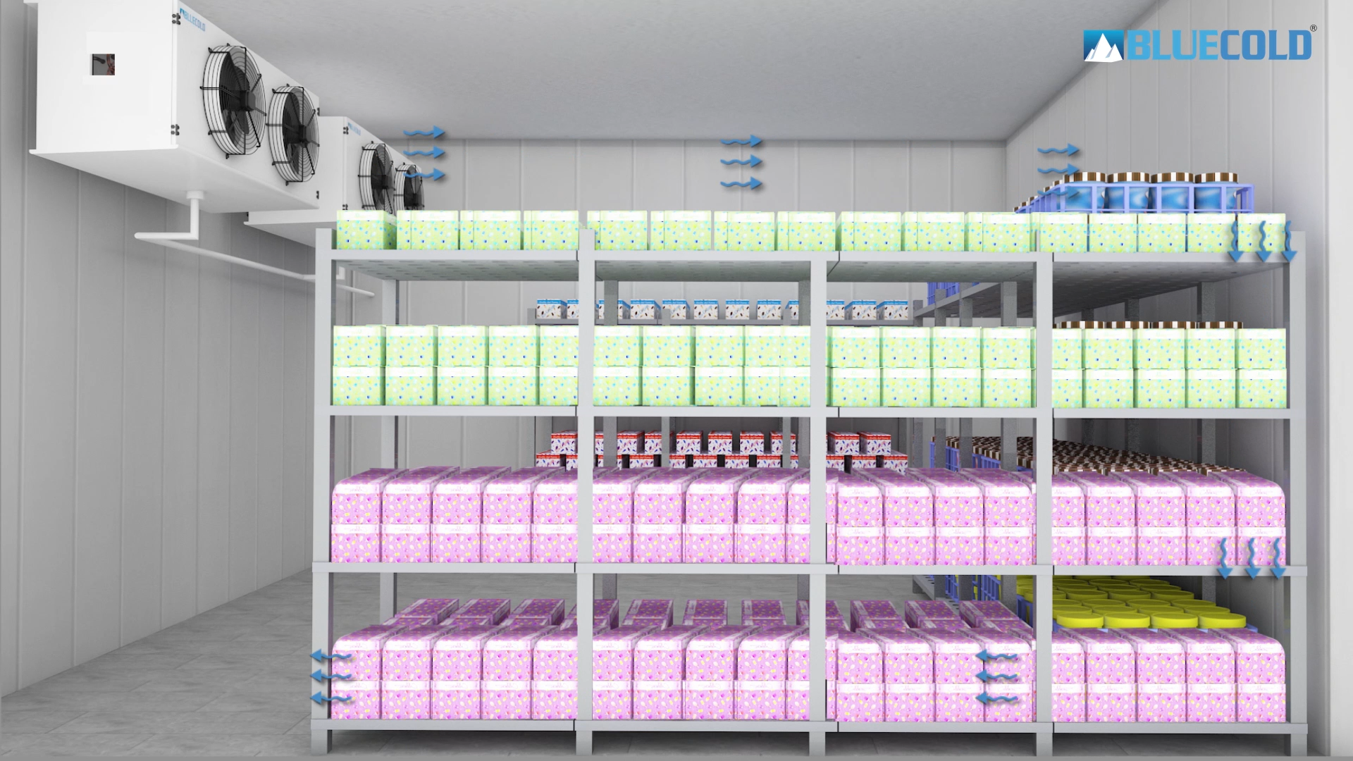 Blue Cold Blogs shelvingracksforcoldroomfreezerroom